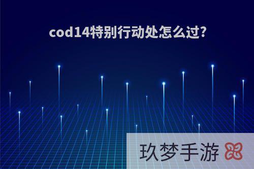 cod14特别行动处怎么过?