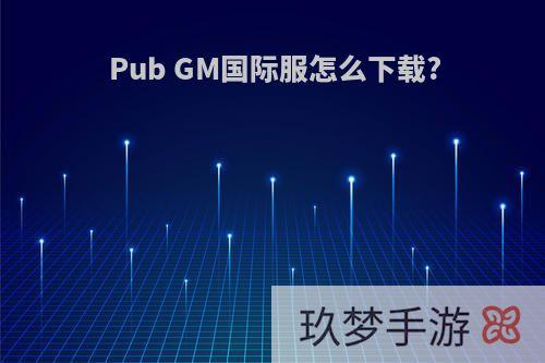 Pub GM国际服怎么下载?