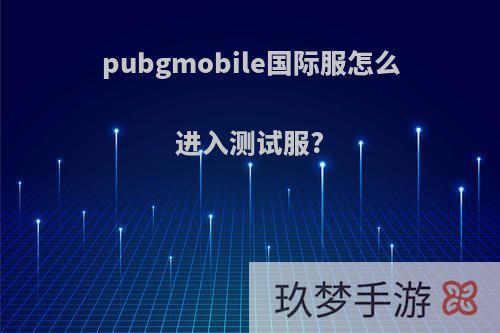 pubgmobile国际服怎么进入测试服?