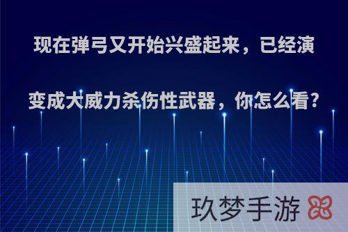 现在弹弓又开始兴盛起来，已经演变成大威力杀伤性武器，你怎么看?