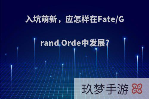 入坑萌新，应怎样在Fate/Grand Orde中发展?