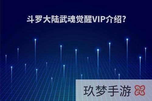 斗罗大陆武魂觉醒VIP介绍?