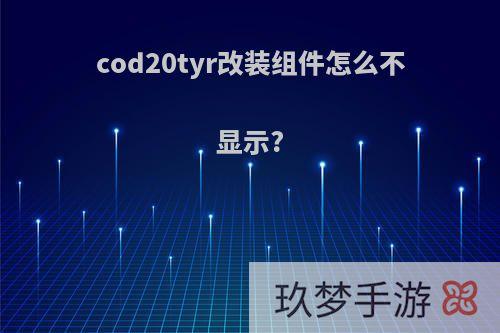 cod20tyr改装组件怎么不显示?