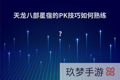 天龙八部星宿的PK技巧如何熟练?