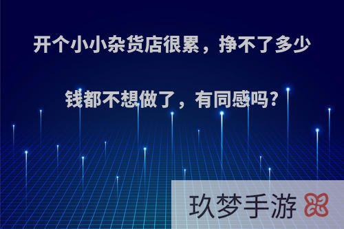 开个小小杂货店很累，挣不了多少钱都不想做了，有同感吗?