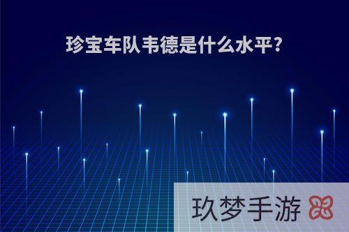 珍宝车队韦德是什么水平?