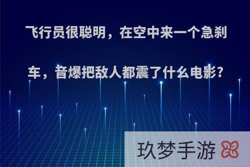 飞行员很聪明，在空中来一个急刹车，音爆把敌人都震了什么电影?