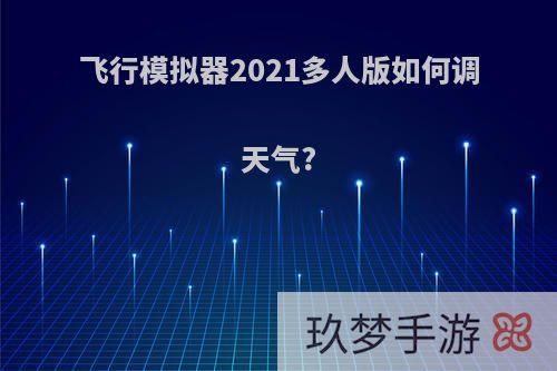 飞行模拟器2021多人版如何调天气?