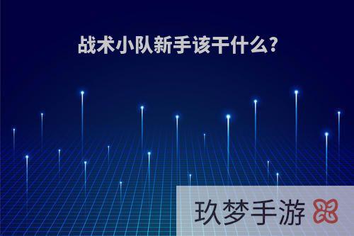 战术小队新手该干什么?