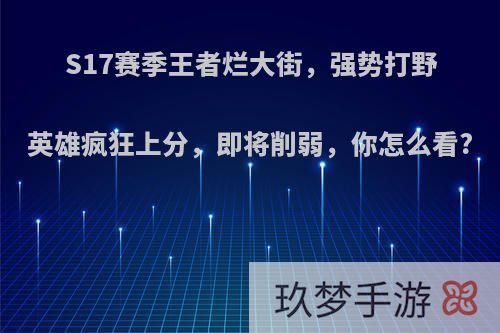 S17赛季王者烂大街，强势打野英雄疯狂上分，即将削弱，你怎么看?