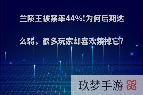 兰陵王被禁率44%!为何后期这么弱，很多玩家却喜欢禁掉它?