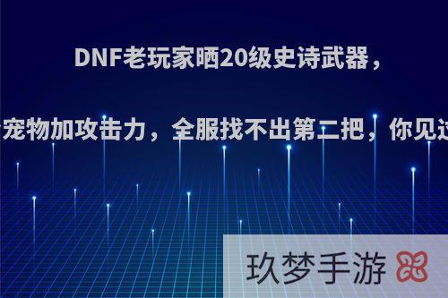 DNF老玩家晒20级史诗武器，能给宠物加攻击力，全服找不出第二把，你见过吗?