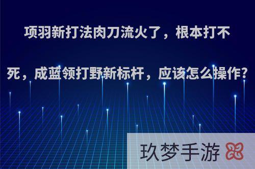 项羽新打法肉刀流火了，根本打不死，成蓝领打野新标杆，应该怎么操作?