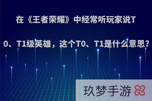 在《王者荣耀》中经常听玩家说T0、T1级英雄，这个T0、T1是什么意思?