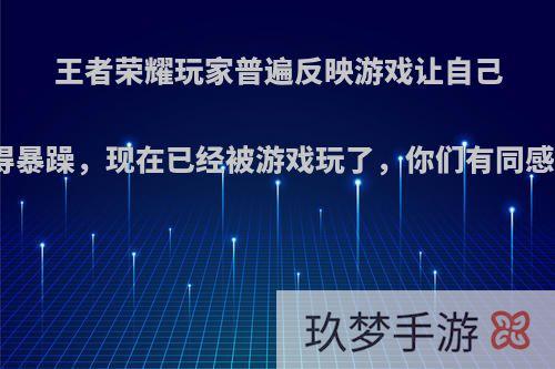 王者荣耀玩家普遍反映游戏让自己变得暴躁，现在已经被游戏玩了，你们有同感吗?