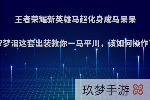 王者荣耀新英雄马超化身成马呆呆?梦泪这套出装教你一马平川，该如何操作?