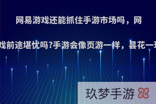 网易游戏还能抓住手游市场吗，网易游戏前途堪忧吗?手游会像页游一样，昙花一现吗?