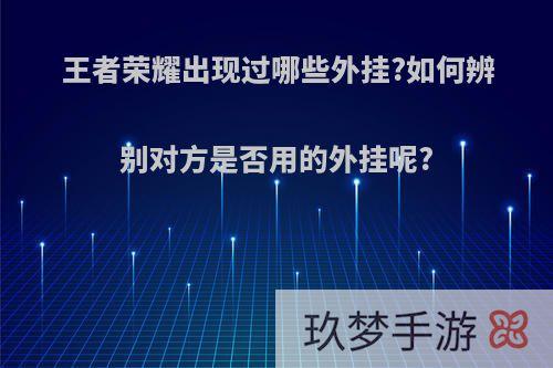 王者荣耀出现过哪些外挂?如何辨别对方是否用的外挂呢?