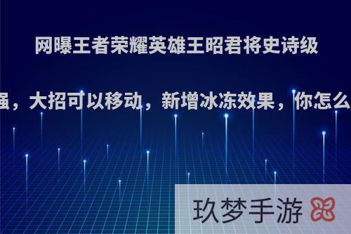 网曝王者荣耀英雄王昭君将史诗级加强，大招可以移动，新增冰冻效果，你怎么看?