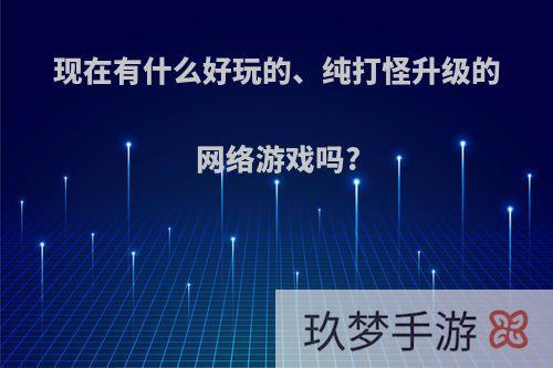 现在有什么好玩的、纯打怪升级的网络游戏吗?