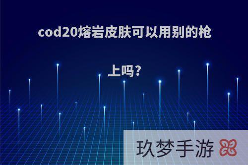 cod20熔岩皮肤可以用别的枪上吗?