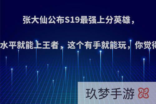 张大仙公布S19最强上分英雄，钻石水平就能上王者，这个有手就能玩，你觉得呢?