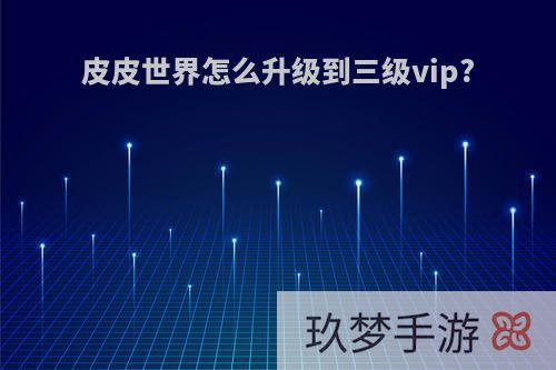 皮皮世界怎么升级到三级vip?