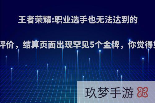 王者荣耀:职业选手也无法达到的系统评价，结算页面出现罕见5个金牌，你觉得如何?