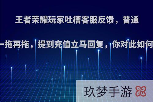 王者荣耀玩家吐槽客服反馈，普通问题一拖再拖，提到充值立马回复，你对此如何看待?