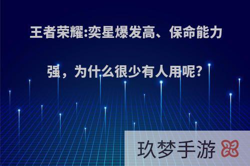 王者荣耀:奕星爆发高、保命能力强，为什么很少有人用呢?