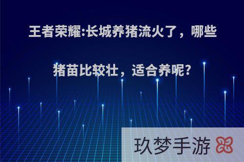 王者荣耀:长城养猪流火了，哪些猪苗比较壮，适合养呢?