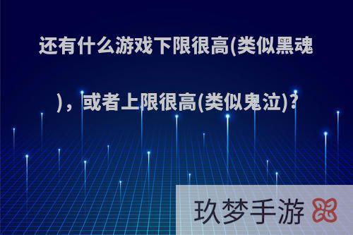 还有什么游戏下限很高(类似黑魂)，或者上限很高(类似鬼泣)?