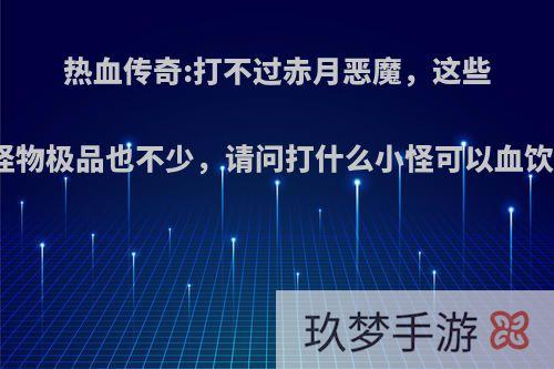 热血传奇:打不过赤月恶魔，这些怪物极品也不少，请问打什么小怪可以血饮?