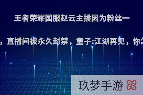 王者荣耀国服赵云主播因为粉丝一个视频，直播间被永久封禁，童子:江湖再见，你怎么看?