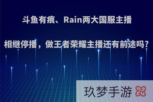 斗鱼有痕、Rain两大国服主播相继停播，做王者荣耀主播还有前途吗?