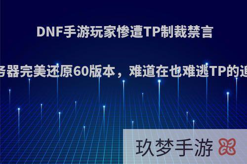 DNF手游玩家惨遭TP制裁禁言，服务器完美还原60版本，难道在也难逃TP的追踪吗?