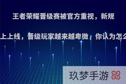 王者荣耀晋级赛被官方重视，新规则马上上线，晋级玩家越来越卑微，你认为怎么样?