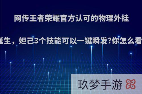 网传王者荣耀官方认可的物理外挂诞生，妲己3个技能可以一键瞬发?你怎么看?