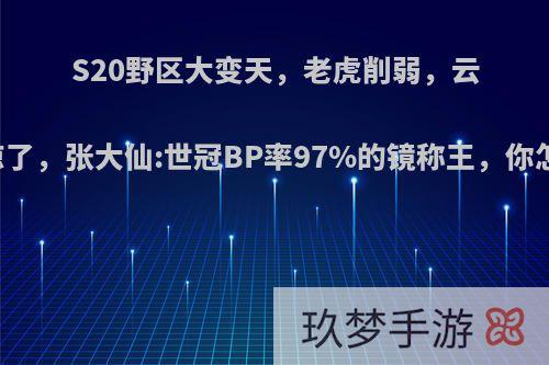 S20野区大变天，老虎削弱，云中君凉了，张大仙:世冠BP率97%的镜称王，你怎么看?