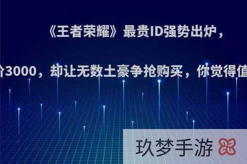 《王者荣耀》最贵ID强势出炉，喊价3000，却让无数土豪争抢购买，你觉得值吗?