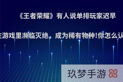 《王者荣耀》有人说单排玩家迟早会在游戏里濒临灭绝，成为稀有物种!你怎么认为?