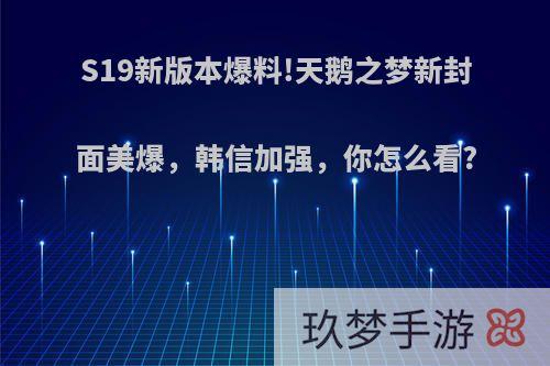 S19新版本爆料!天鹅之梦新封面美爆，韩信加强，你怎么看?