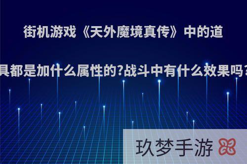 街机游戏《天外魔境真传》中的道具都是加什么属性的?战斗中有什么效果吗?