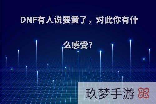 DNF有人说要黄了，对此你有什么感受?