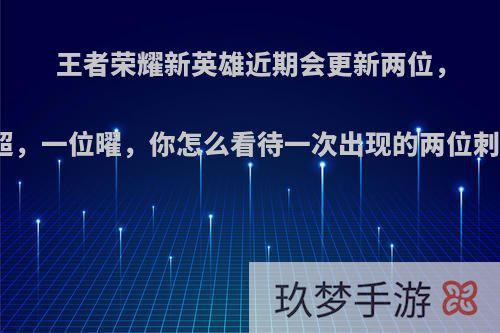 王者荣耀新英雄近期会更新两位，一位马超，一位曜，你怎么看待一次出现的两位刺客英雄?