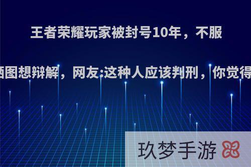 王者荣耀玩家被封号10年，不服气晒图想辩解，网友:这种人应该判刑，你觉得呢?