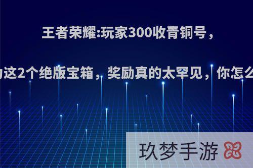 王者荣耀:玩家300收青铜号，只为这2个绝版宝箱，奖励真的太罕见，你怎么看?