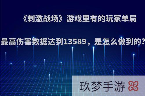 《刺激战场》游戏里有的玩家单局最高伤害数据达到13589，是怎么做到的?