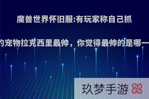 魔兽世界怀旧服:有玩家称自己抓到的宠物拉克西里最帅，你觉得最帅的是哪一只?