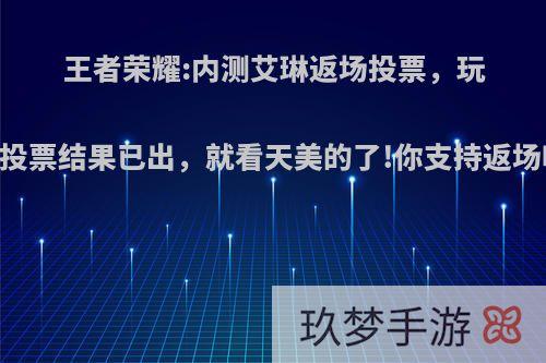 王者荣耀:内测艾琳返场投票，玩家:投票结果已出，就看天美的了!你支持返场吗?